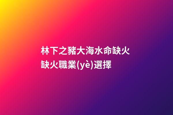 林下之豬大海水命缺火 缺火職業(yè)選擇